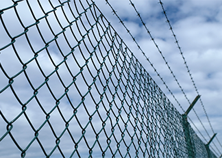Chain Link Fencing: A Versatile Solution for Pet Containment and Safety 